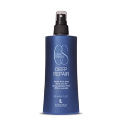 Lendan Deep Repair Finish Spray Bez Spłukiwania (200ml)