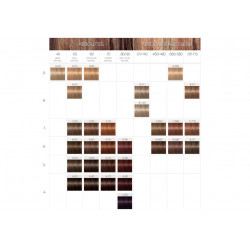 Schwarzkopf Color Igora Royal Absolutes (60ml)