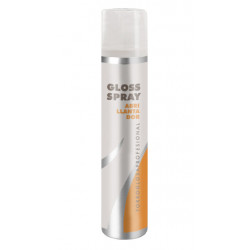 Torroglosa Miscelanea Spray nabłyszczający (200ml)