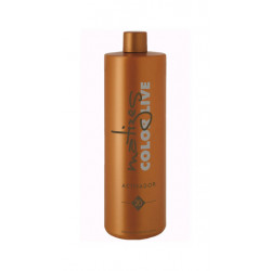 Torroglosa Technicians Matizes Aktywator Koloru Żywego (20vol)