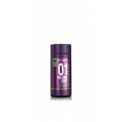 Salerm Pro-Line Volume Dust 01 (10g)