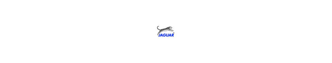 Katalog nożyczek profesjonalnych Jaguar
